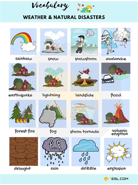Natural Disasters List With Pictures And Examples Artofit