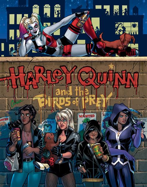 Who Are The Birds Of Prey Exactly A Guide To Harley Quinns Team