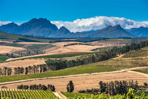Wine And Nature In South Africa Cape Town Winelands And Cederberg 7