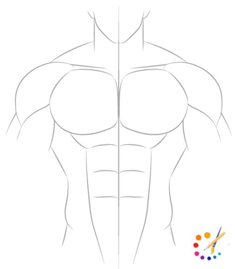How To Draw Muscles Step By Step Drawing Guide By Kin Vrogue Co