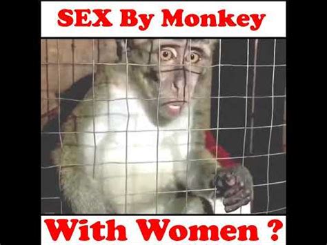 Sex Of Monkey With Women Knowledgeable Site Facts Fact