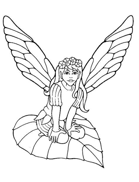 Click the two fairies coloring pages to view printable version or color it online (compatible with ipad and android tablets). Fairy Coloring Pages For Adults - Coloring Home