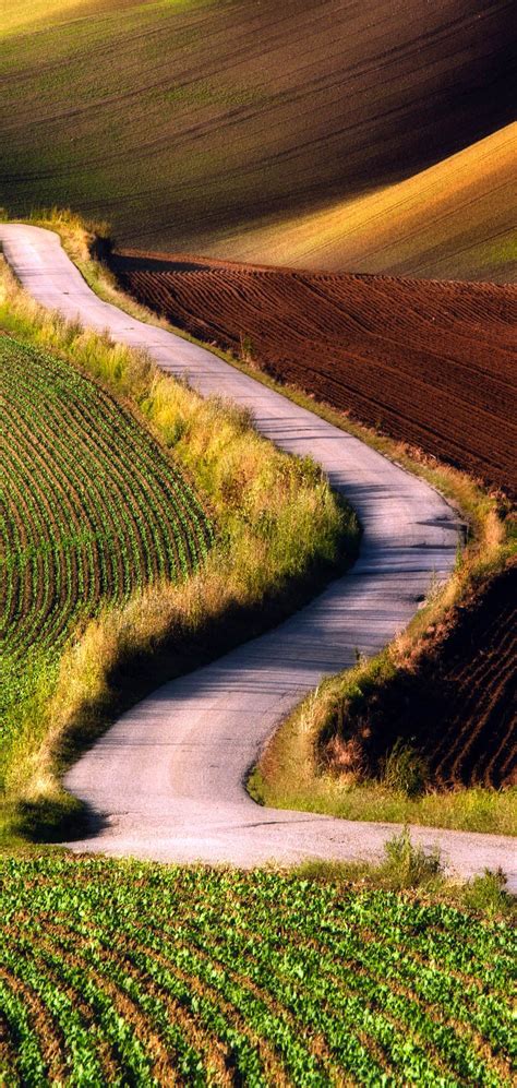 23 Roads You Have To Drive In Your Lifetime Road Trips Country