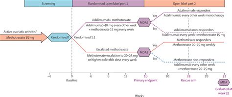 Comparison Between Adalimumab Introduction And Methotrexate Dose