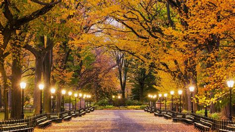 Central Park In Autumn