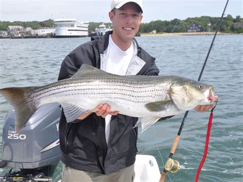 On 3/7/2021 at 0:54 pm, surf bomber said: Striper Fishermen Request Circle Hook Exemption for Tube ...