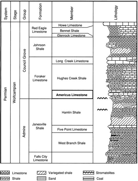 Kgs Subsurface Geology Series 13 Americus Limestone Member In Kansas