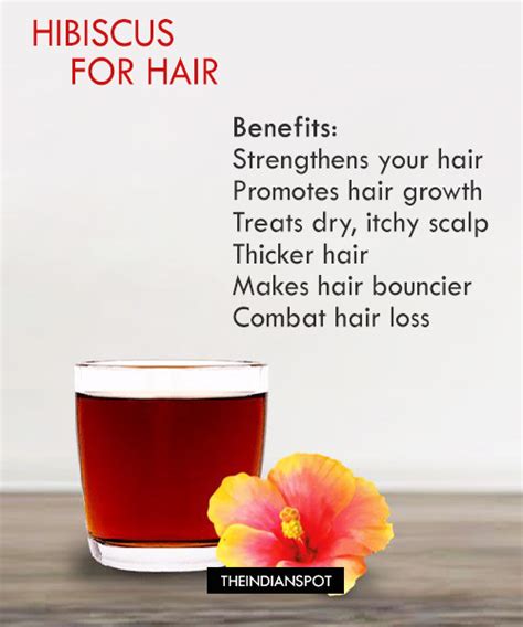 Benefits And Uses Of Hibiscus For Hair The Indian Spot