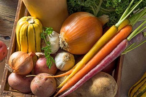 How To Plant A Southern Fall Vegetable Garden Gardeners Path