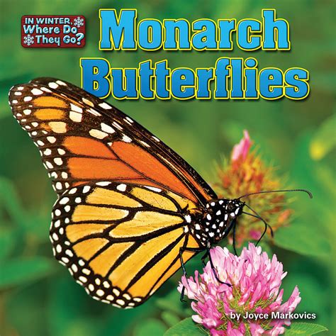 Monarch Butterflies Bearport Publishing