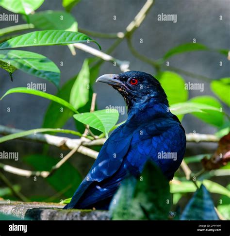 Capture the essence of Kerala's birdlife, the rich biodiversity and awe