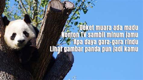 Pantun jenis ini berisi tentang kalimat yang lucu dan menghibur pembacannya. 20 Pantun Lucu Banget yang Bikin Ngakak Nggak Berhenti | KepoGaul