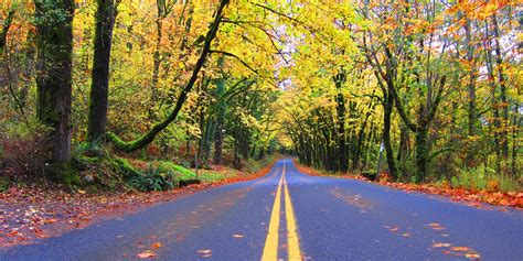 The Ultimate Fall Road Trip Pacific Northwest To