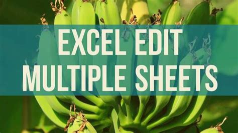 Change All Sheets Excel Tips Mrexcel Publishing