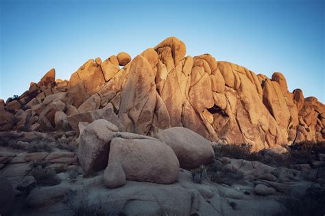 Top 12 Easy Hikes In Joshua Tree National Park — Flying Dawn Marie