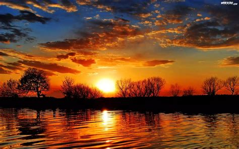 Rzeka Chmury Zachód Słońca Krzewy