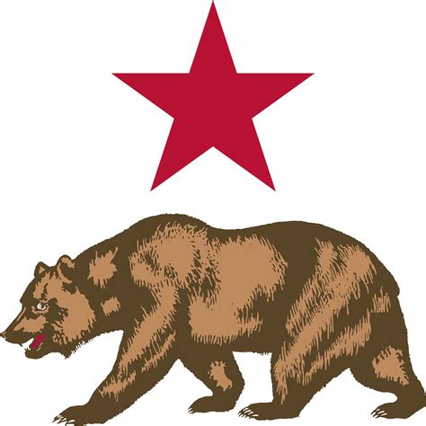 California Soportar Estrella Gráficos Vectoriales Gratis En Pixabay