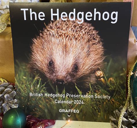 Hedgehog Awareness Week Runs From 1st 7th May 2022 The British