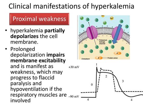 Ppt Clinical Manifestations Of Hyperkalemia Powerpoint Presentation