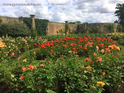 Beautiful Rose Garden At Hever Castle Place Of Henry Viiis And Anne