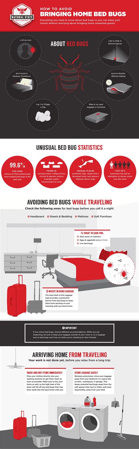 How To Avoid Bringing Home Bed Bugs While Traveling Bed Bugs Bed
