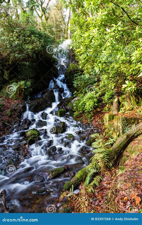 Waterfall In Mossy Woodland Stock Photo Image Of Gush High 83397268