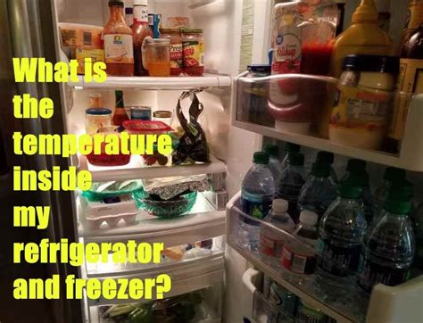 How long you can store (almost) anything in the fridge and freezer. What is the temperature inside my refrigerator and freezer ...