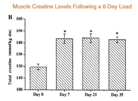 How To Take Creatine Take Creatine On Off Days 1 Answer Revealed