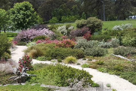 Creating A Cottage Garden Style With Australian Native Plants