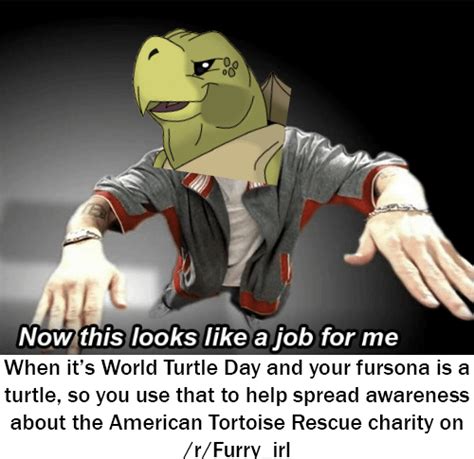 Turtlesirl Rfurryirl