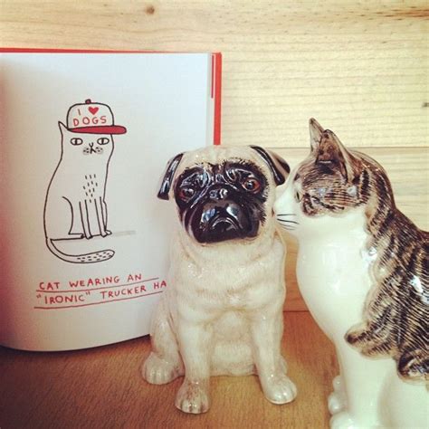 A Cats Life By Gemma Correll Now Available At The Little Dröm Store