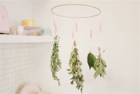This Sweet Diy Herb Drying Rack Is Perfect If Youre Into Herbal