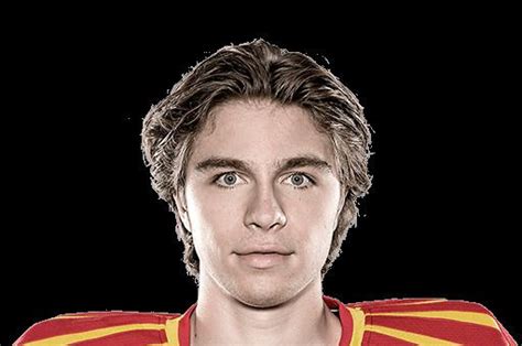Come on we share some latest information about felix sandstrom about his biography, net worth, career, income, and expenses. Felix Sandström - Alchetron, The Free Social Encyclopedia