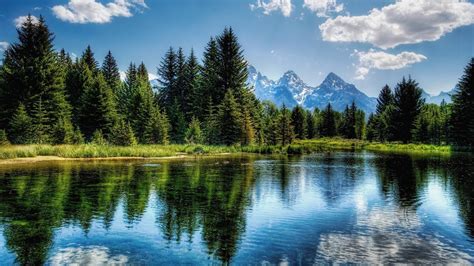 Beautiful Lake In The Mountains Surrounded By Pine Trees