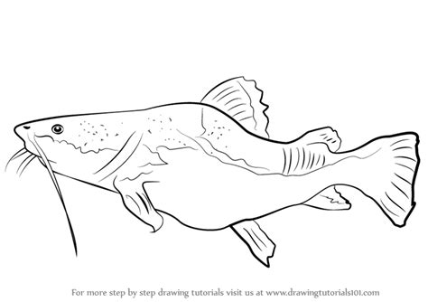 Cartoon catfish images stock photos vectors shutterstock. Learn How to Draw a Giant Catfish (Fishes) Step by Step ...