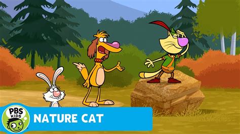 Nature Cat The Lil Mouse Trail Pbs Kids Youtube