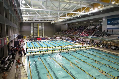 2015 Mens Ncaa Swimming And Diving Championship Competition Pool Breakdown