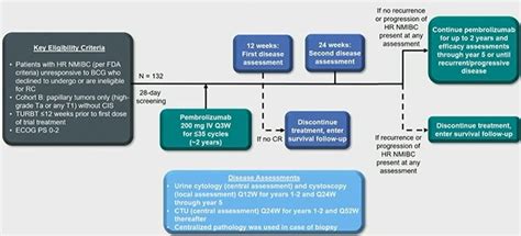 asco gu 2023 pembrolizumab monotherapy for patients with high risk non muscle invasive bladder