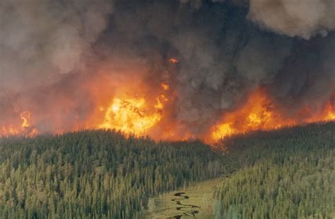Uwinnipeg Prof Studies Forest Fires In Manitoba And Ontario