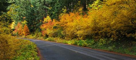 Leaf Peeping Road Trip Ford Pinchot National Forest Wa State