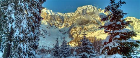 Download Wallpaper 2560x1080 Winter Mountains Austria Snow Trees