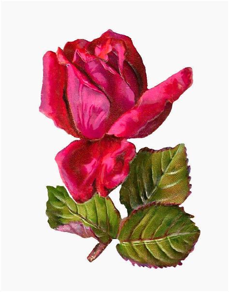 Free Digital Rose Clip Art Red Rose Graphic With Three Leaves On