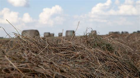 Usda Announces Changes To Emergency Haying And Grazing Provisions Ag
