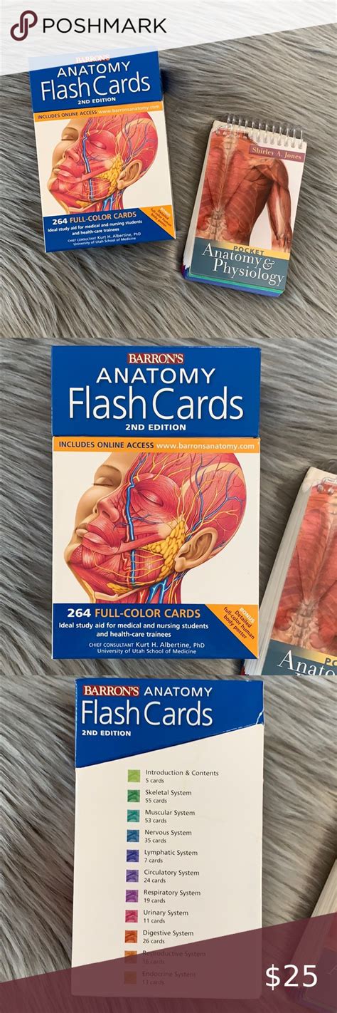 2 Pack Anatomyphysiology Flash Cardsstudy Items Study Flashcards