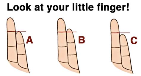 The Length Of This Finger Is The Secret To Your Personality Furilia Entertainment