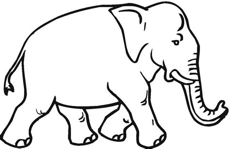 Ausmalbilder Elefanten Kostenlos Malvorlagen Zum Ausdrucken
