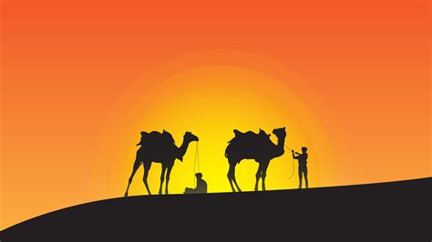 Camel Leaders Silhouette Wallpaperhd Artist Wallpapers4k Wallpapers