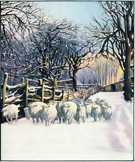 A Flock Of Sheep In The Winter Snow