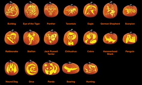 How To Carve A Pumpkin For Beginners Gathered