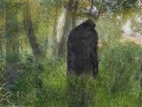 Bigfoot Observed Near Green Lakes State Park Ny Nexus Newsfeed